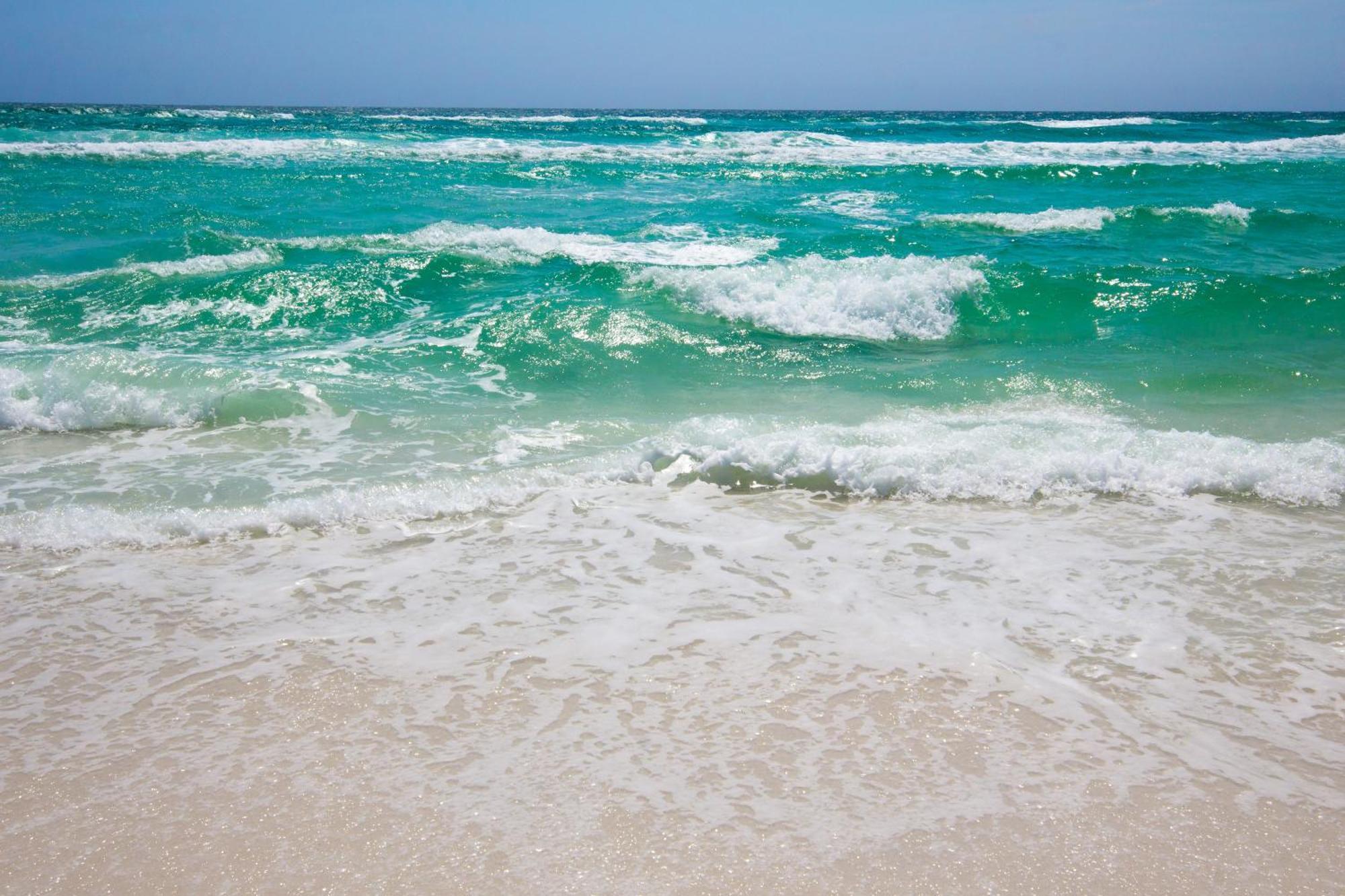Shores Of Panama By Blue Swell